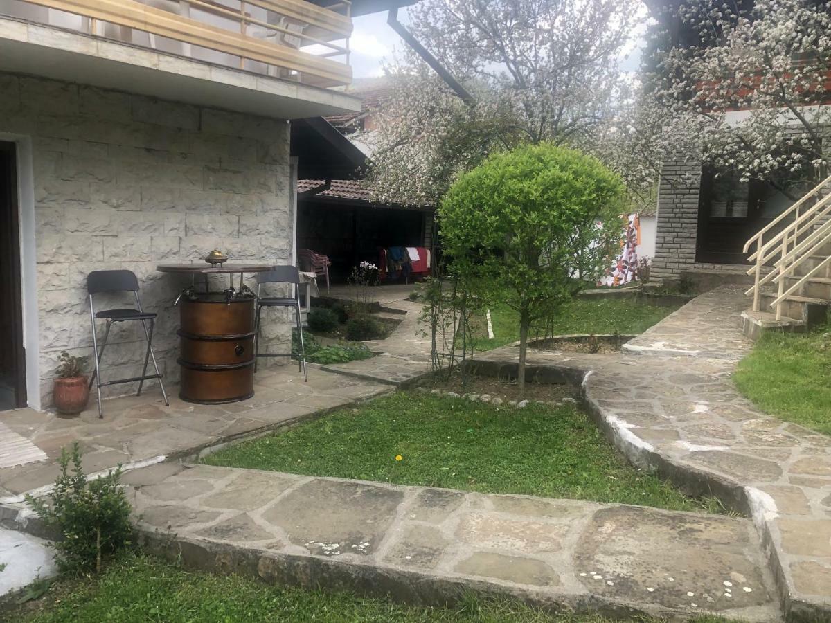 Luylyana Guesthouse Ribarica Exteriér fotografie