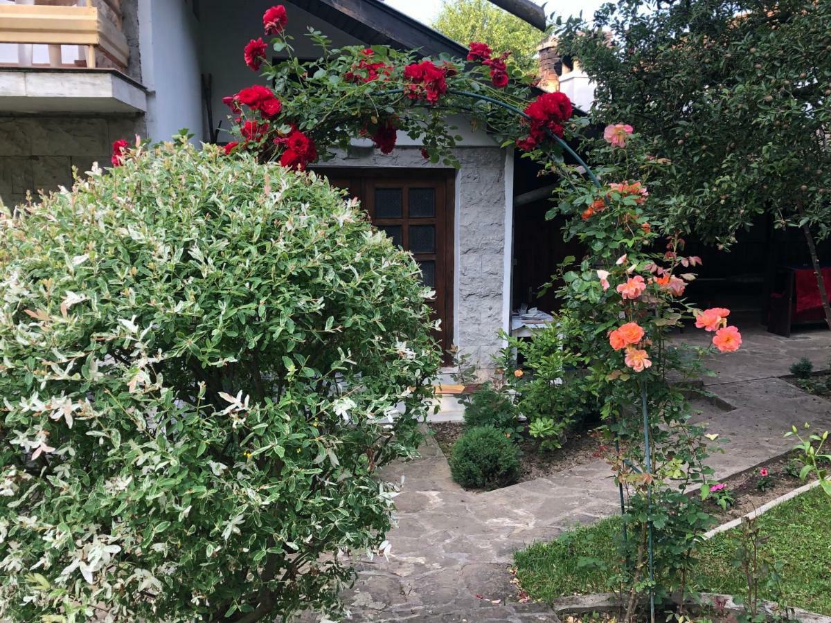 Luylyana Guesthouse Ribarica Exteriér fotografie