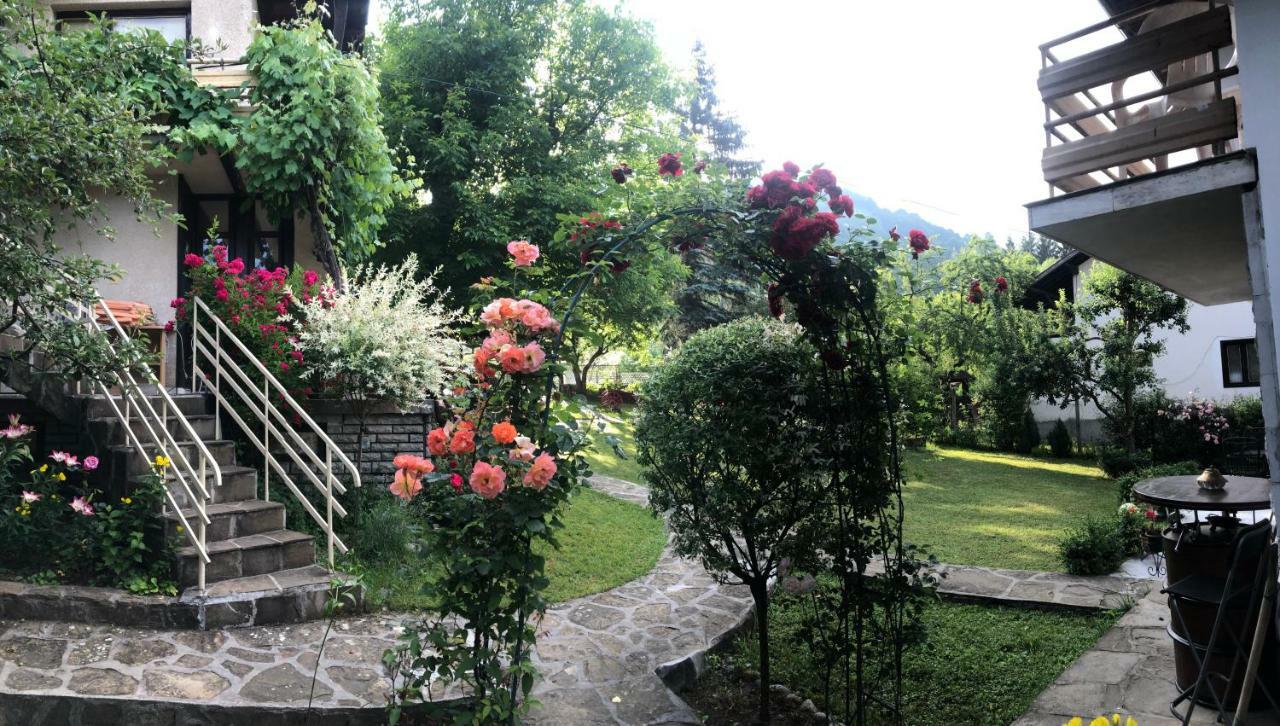 Luylyana Guesthouse Ribarica Exteriér fotografie